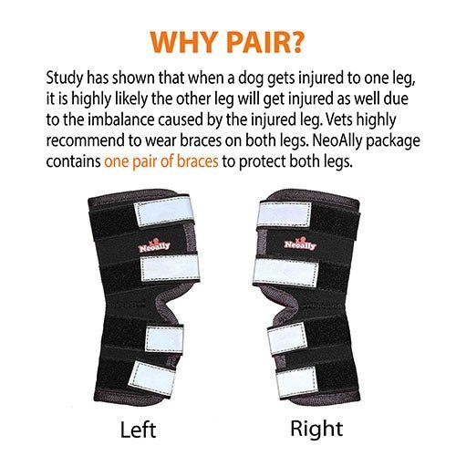 Two black dog braces with white straps labeled "Left" and "Right" on a white background.