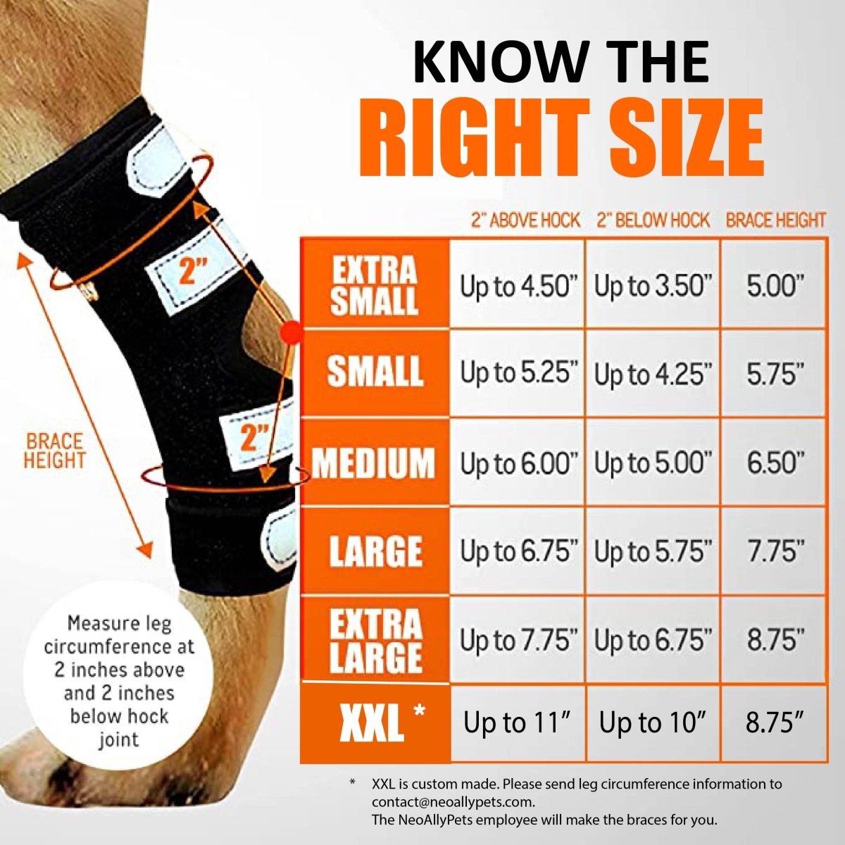 Chart for pet leg brace sizes with measurements; black brace on a dog's leg, orange and white text.