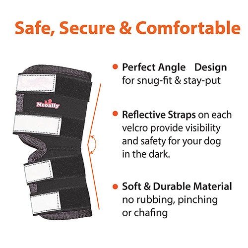 Black dog brace with white velcro straps, reflective accents, and orange text highlighting features.