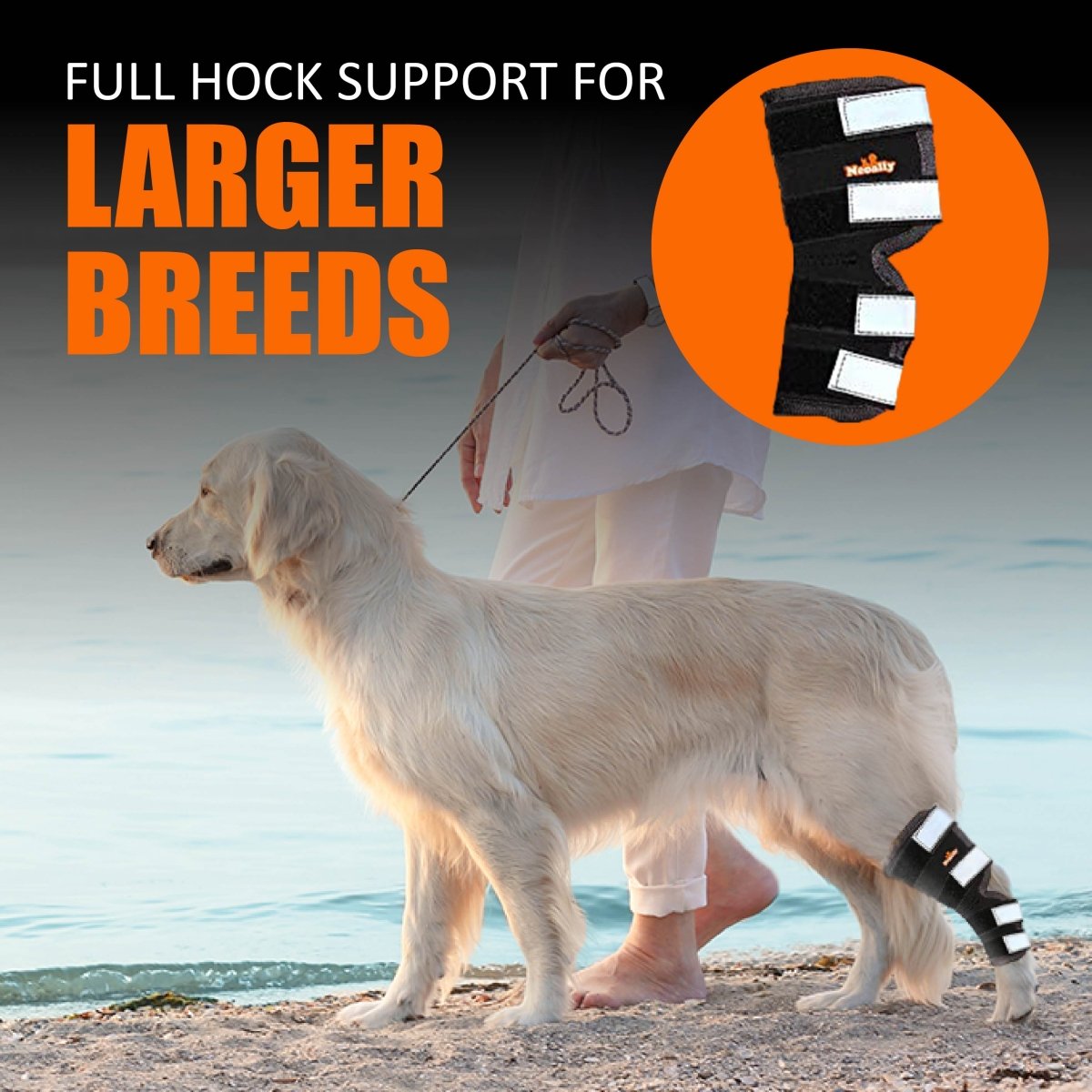 Golden retriever on beach with black hock brace; text: "Full Hock Support for Larger Breeds."