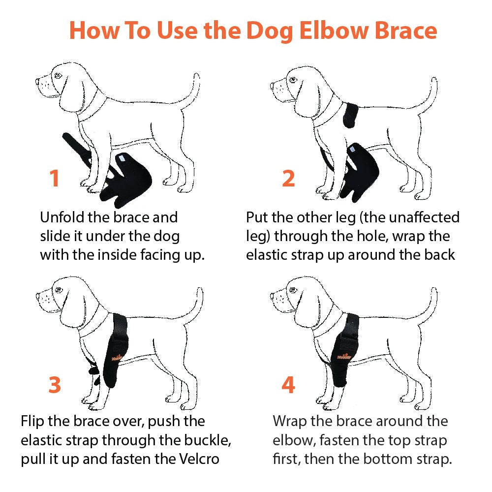 Instructions for fitting a black dog elbow brace on a white dog in four illustrated steps.