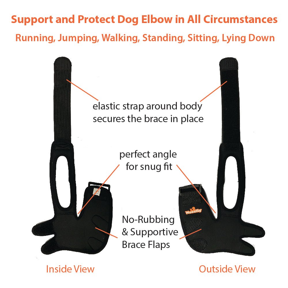Black dog elbow brace with elastic straps and labeled features for secure fit and comfort.