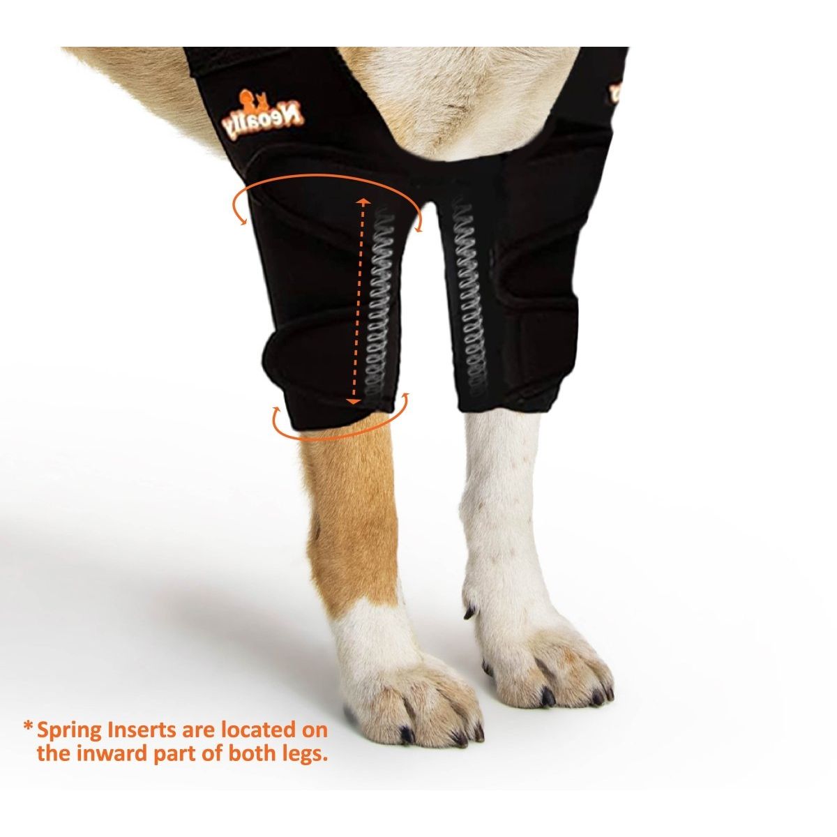Dog wearing black leg braces with visible springs and orange text on the left side.
