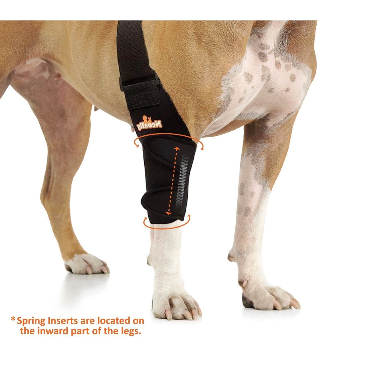Dog wearing a black leg brace with orange arrows and text indicating spring inserts inside.