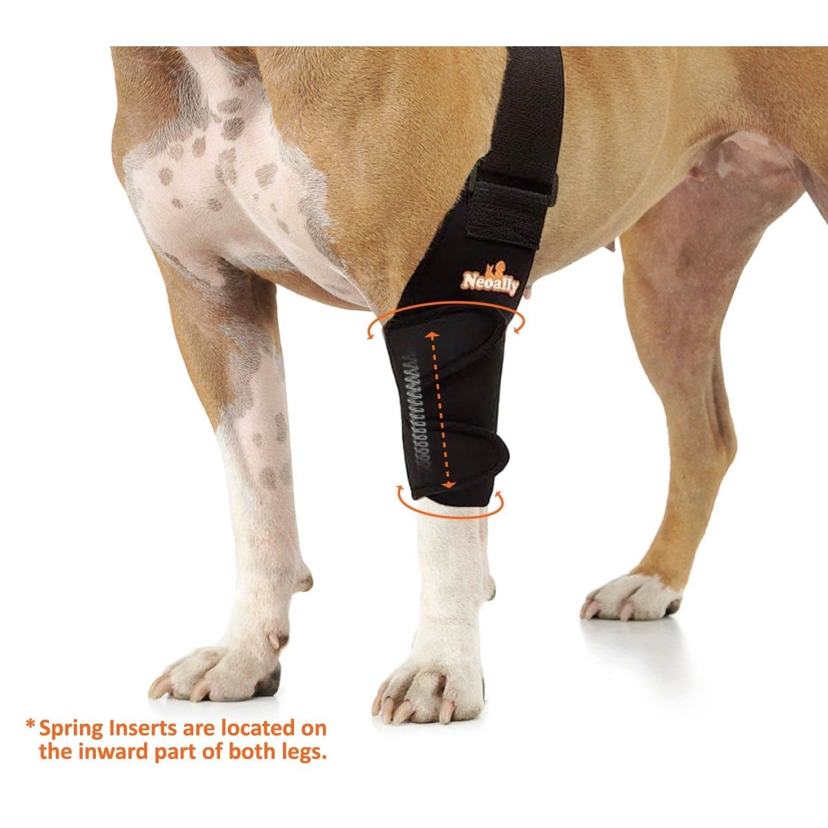 Dog wearing a black leg brace with orange details and text, showing spring inserts location.
