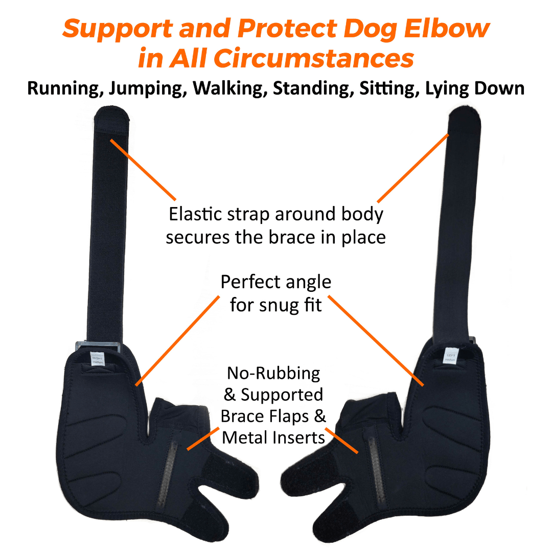 Black dog elbow brace with elastic straps and metal inserts, designed for secure, snug fit.