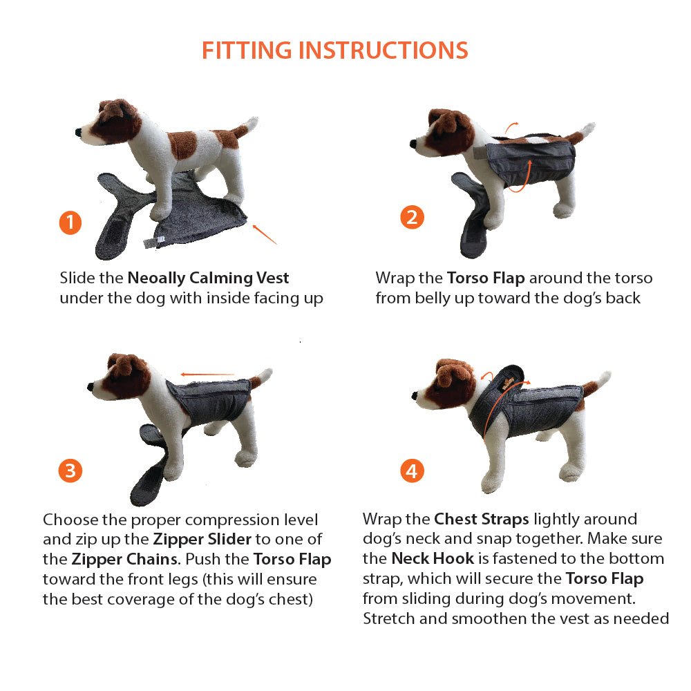 Dog mannequin in four steps showing how to fit a gray calming vest with orange accents.