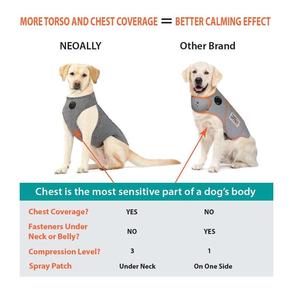 Two dogs wearing gray calming vests; one labeled "NEOALLY" with more coverage.