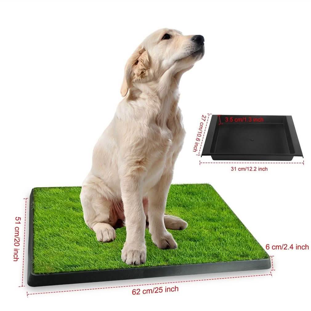 Golden retriever puppy sits on a green grass pad with dimensions shown; black tray nearby.