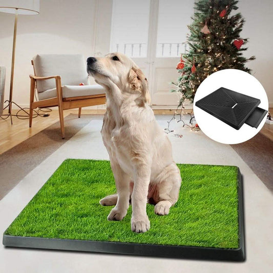 Dog sitting on a green grass mat indoors, with a Christmas tree and chair in the background.