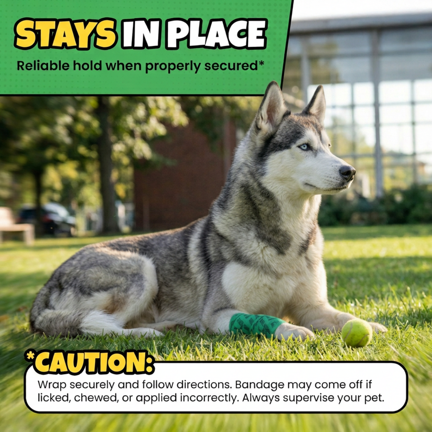 Husky with green bandage on paw, lying on grass beside a tennis ball, with text overlay.