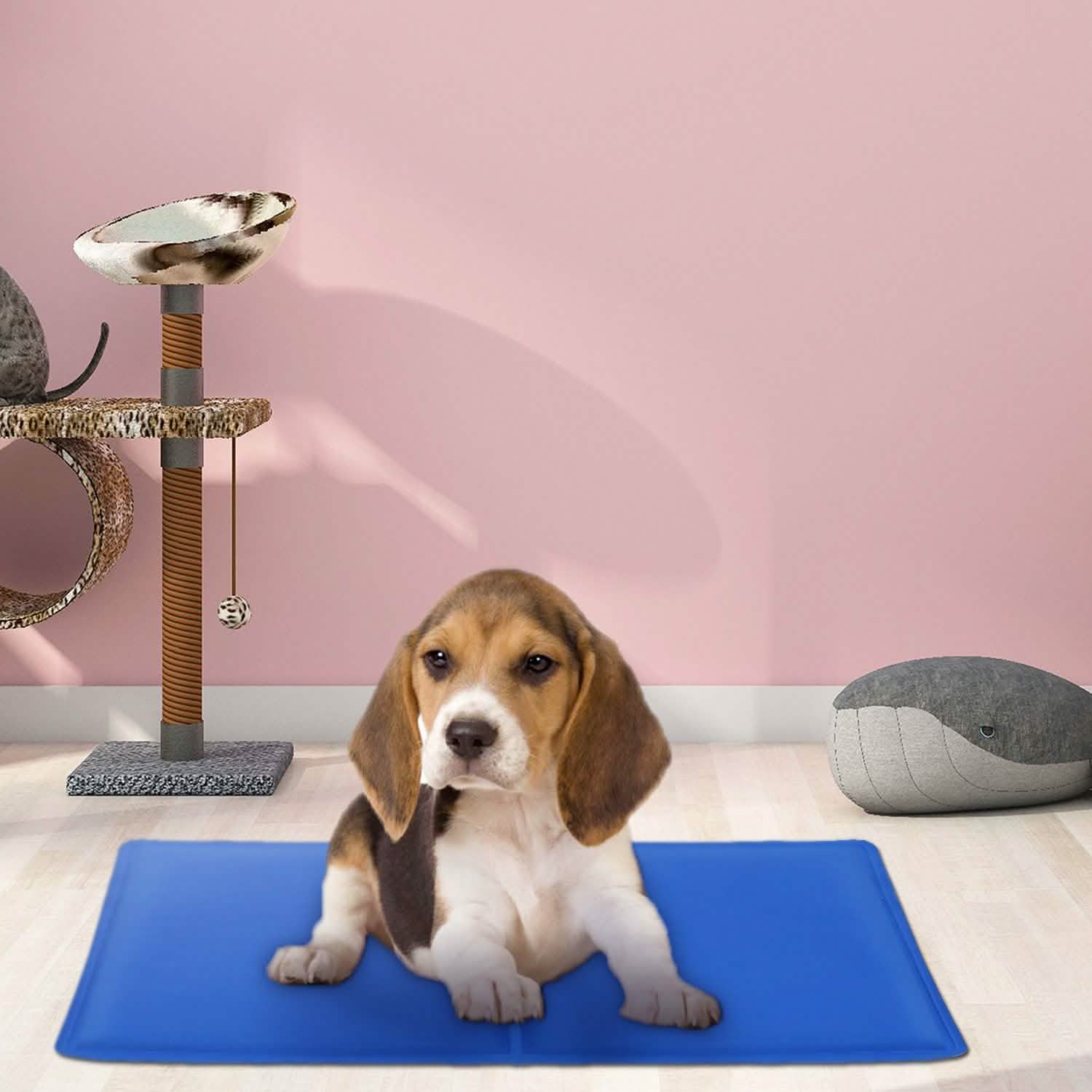 Beagle puppy on a blue mat, pink wall, cat tree, and gray cushion in the background.