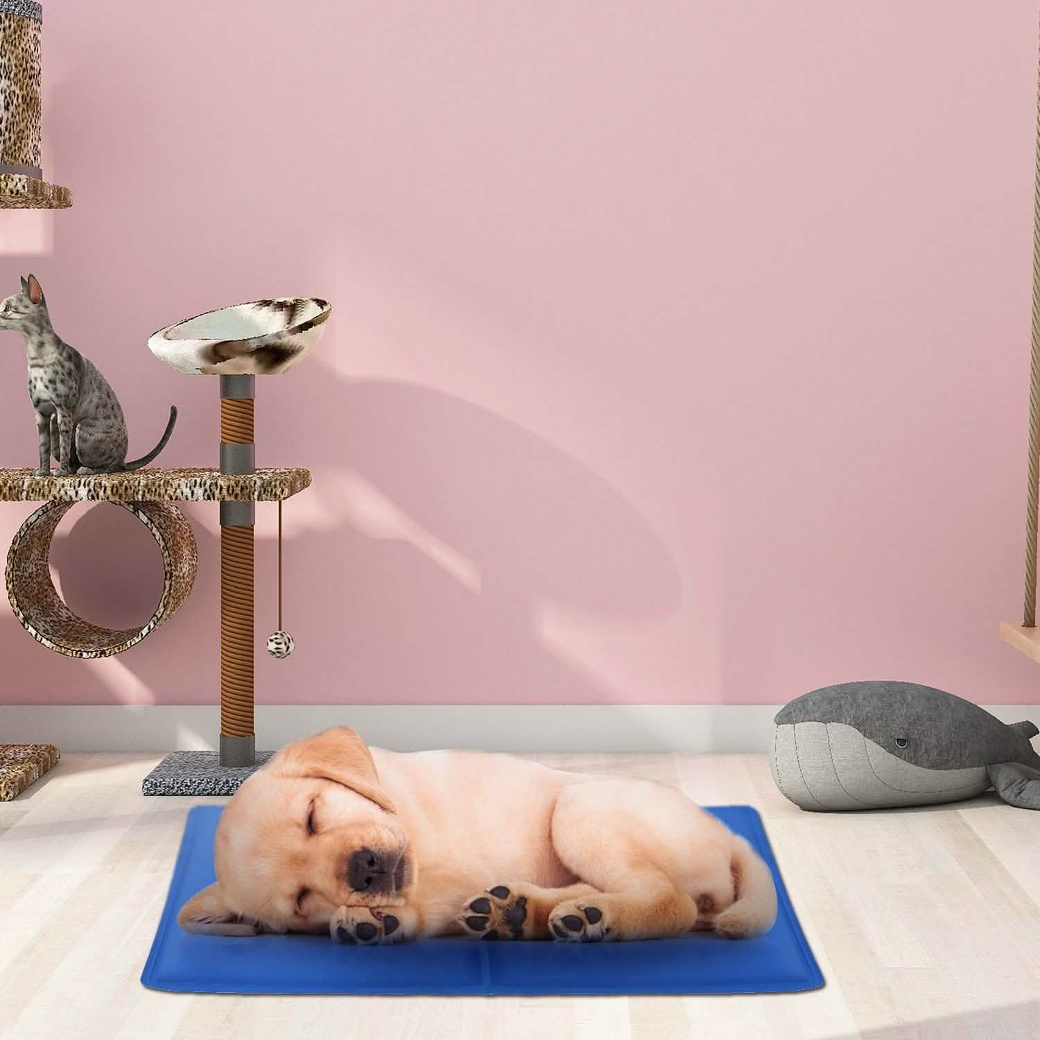 Puppy sleeping on a blue mat, pink wall background, cat tree with a cat, and a gray whale-shaped pillow.