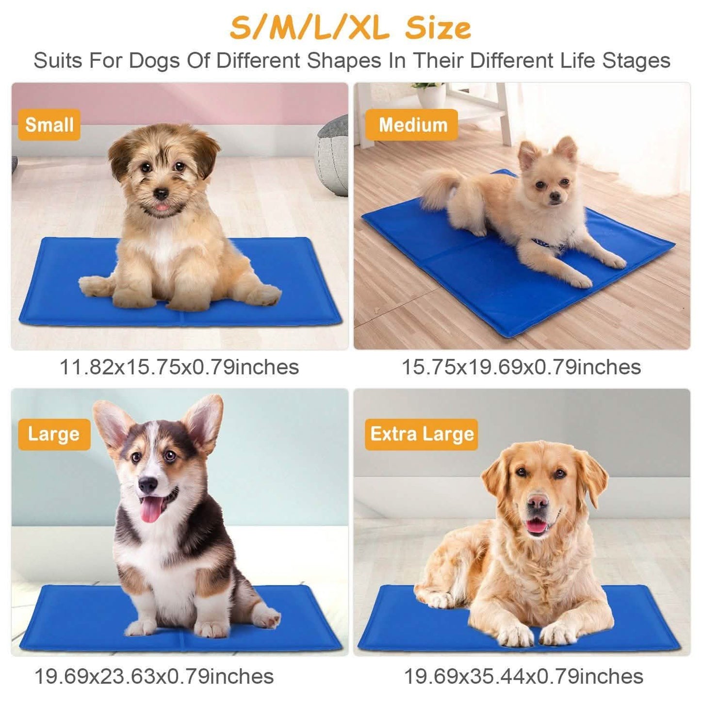 Four dogs of varying sizes on blue mats labeled small, medium, large, and extra large.