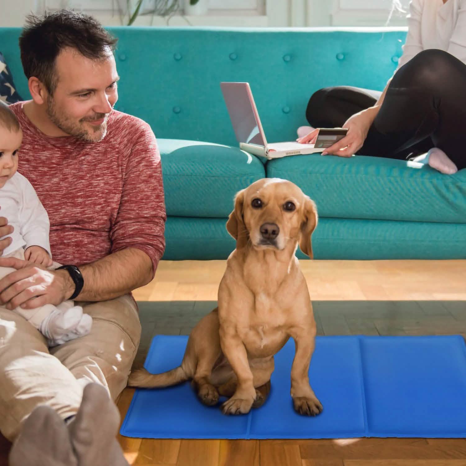 Man with baby and dog on blue mat, woman on teal sofa with laptop in bright room.