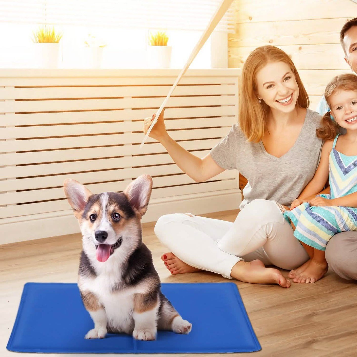 A happy corgi on a blue mat, with a smiling family in a bright room with wooden floors.