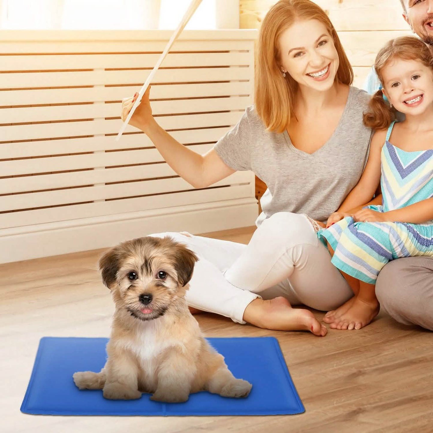 A fluffy puppy sits on a blue mat, with a smiling woman and child in the background on wooden floor.